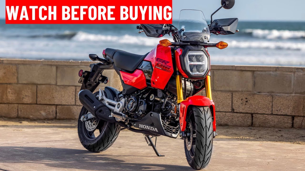 Что нужно знать перед покупкой Honda Grom