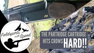 Decoying Crows | Crow Shooting | Testing The Partridge Cartridge from Hull Cartridges