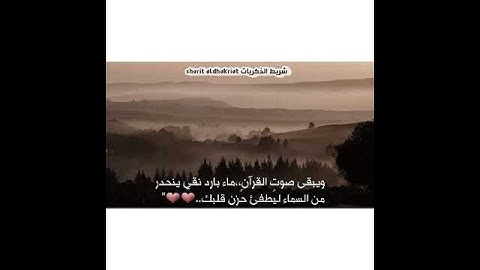 القارئ عبد الرحمن الحميداني/ اجمل حالات وتساب/ ومقاطع دينيه قصيره/تلاوه خياليه ومذهله ارح مسمعك