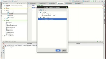 Flutter 10 - Abstract Classes and Interfaces
