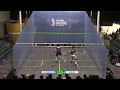 Get ready for the 2024 WSF World Junior Squash Championships!