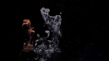 Vulgar Flower -  Lisbeth