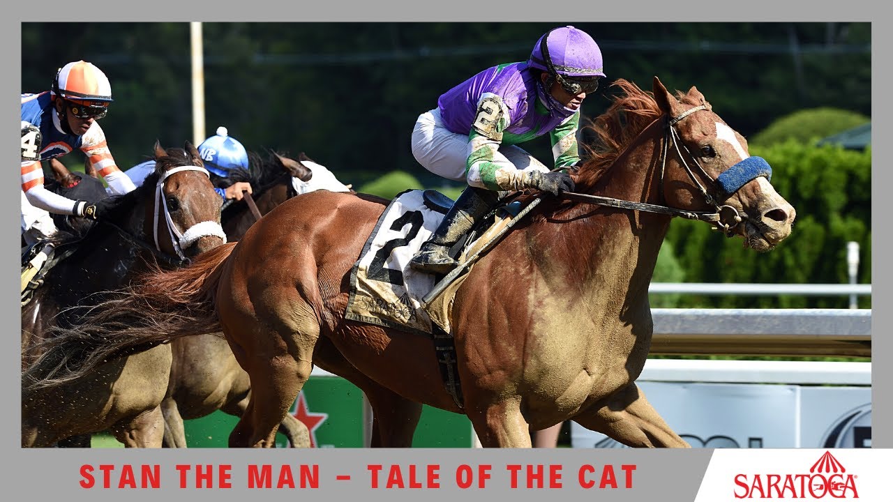 Stan The Man - 2020 - The Tale of the Cat