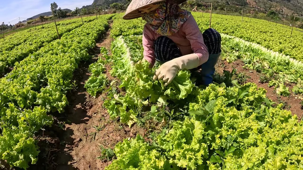 30 декабря 2025 г.