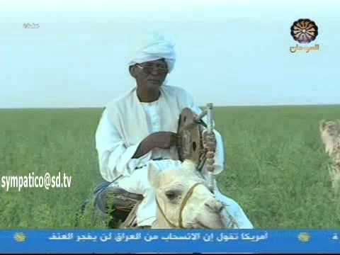 أنفاس البطانة 3