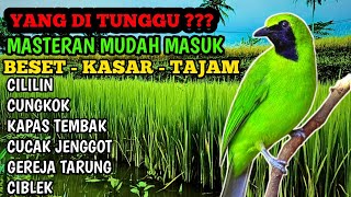 Download Lagu MASTERAN CUCAK IJO FULL TEMBAKAN MUDAH MASUK, MASTERAN TERVIRAL DI 2025. 5 menit langsung respon. MP3