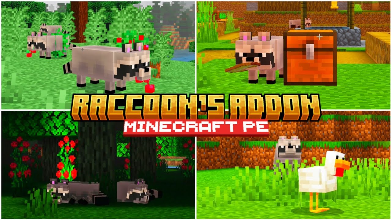 Minecraft Custom Loading Screen Raccoon 🦝RACCOON'S ADDON for BEDROCK | MINECRAFT PE +1.21 #addons - YouTube