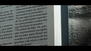 5Right2 -Crowxe- Los Pepasostemasos -7Q-