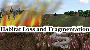 What Are Habitat Loss and Fragmentation? Examples Using Impacts on UK Reptiles | Scientific Concepts