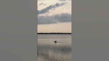 Thumbnail of Peace 🕊️ #song #sunset #naturlove
