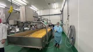 Watch now: Making cheese curds at Crave Brothers Farmstead Cheese