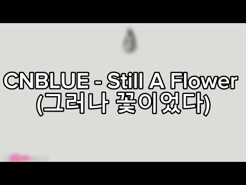 CNBLUE - Still A Flower (그러나 꽃이었다) || Lyrics _Rom_INA Sub