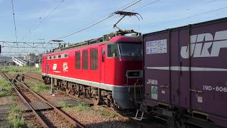 【Japan Railway】 4076レ 新津発車 EF510-3牽引コンテナ