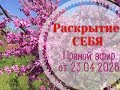 как раскрыть Себя..