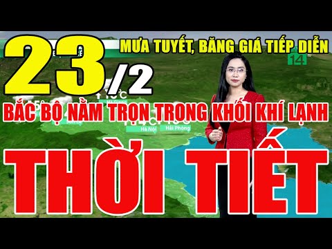 Video: Đồ thủ công cho ngày 23 tháng 2 từ nỉ bằng tay của chính họ vào năm 2022