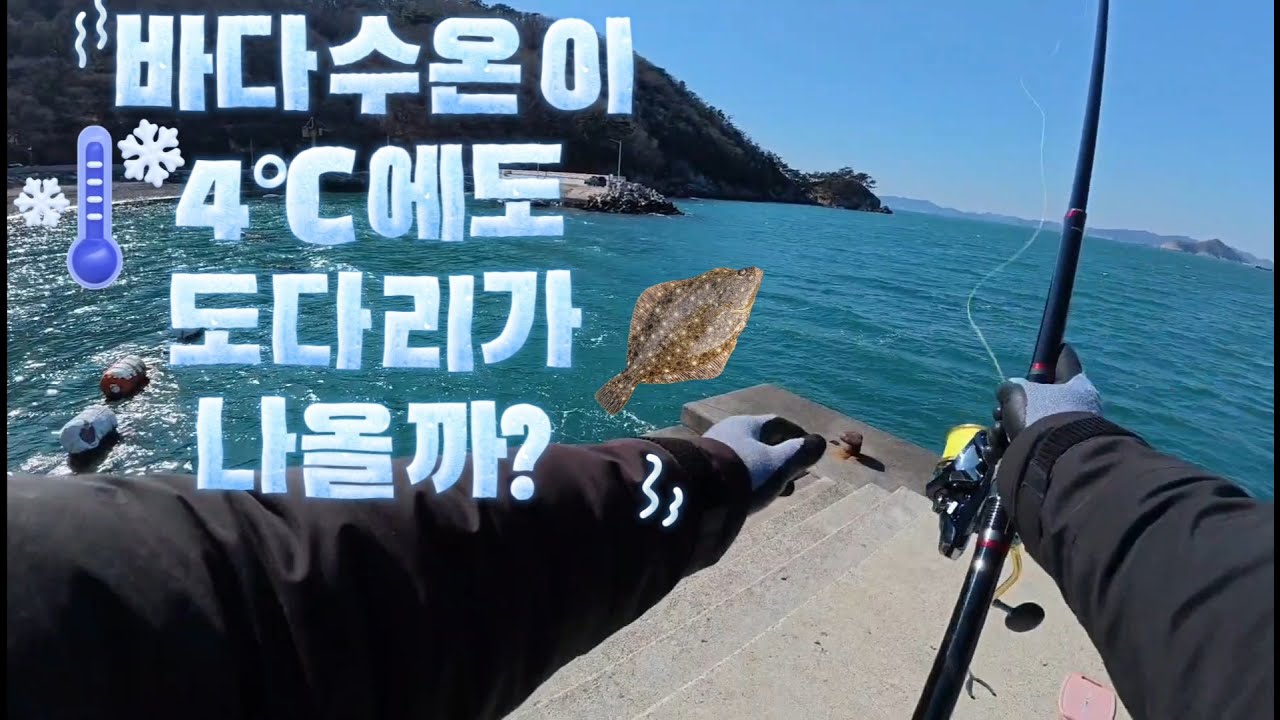 4°C 바다수온에 도다리가 나올까? 부산 가덕도 도다리 원투낚시 외양포 편