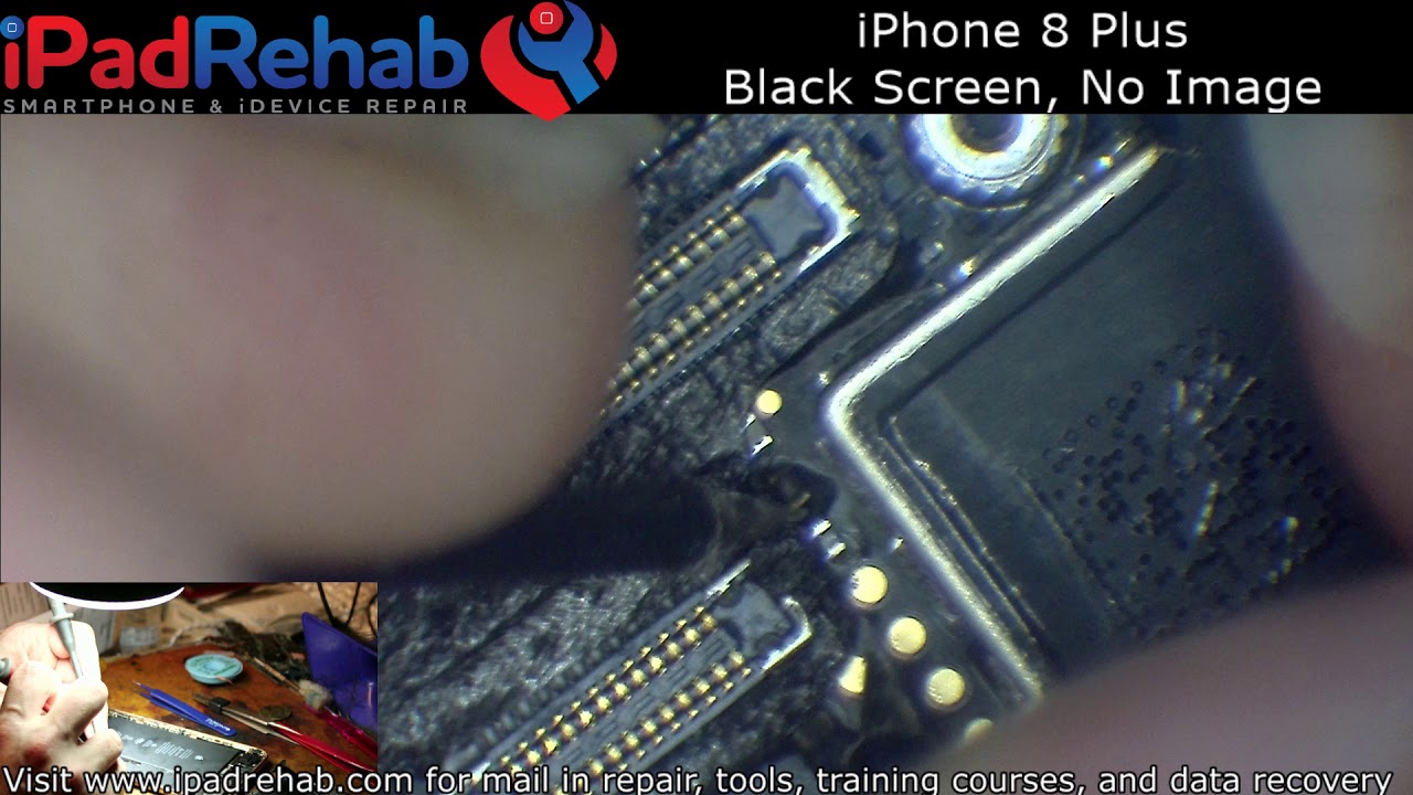 iPhone 8 Plus No Image