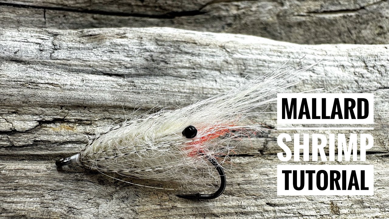 Mallard Shrimp  Global FlyFisher