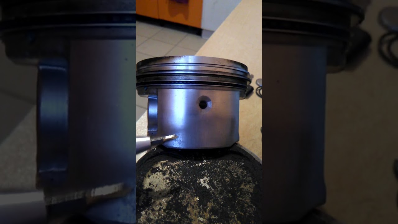 Группа поршней газель