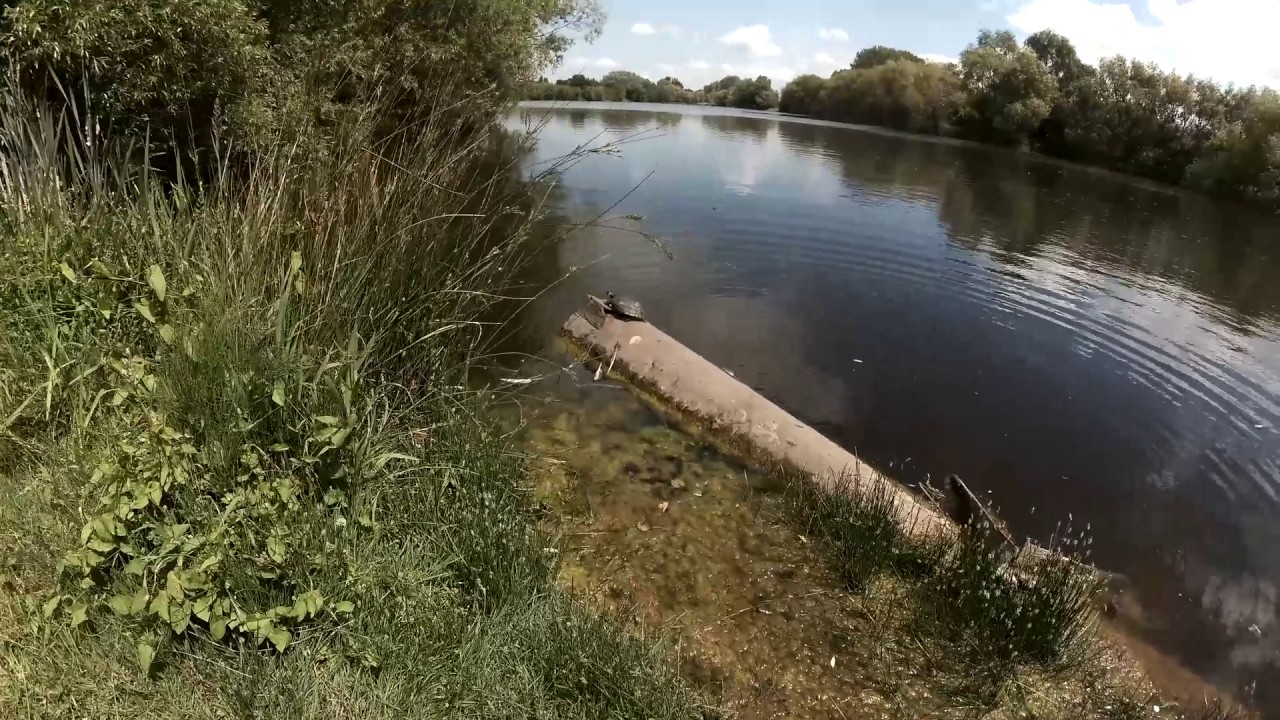 Horbury Lagoons. June 2017