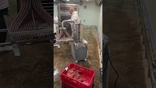 HydroShpriz #snackproduction #food #realwaystomakemoneyfromhome #bbq #dothingsyoudontwanttodo