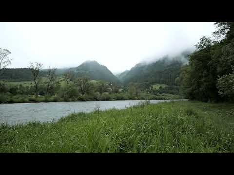 4712210 Hd 1920 1080 24fps 