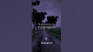 قران كريم ارح قلبك وسمعك #قران #المصحف #quran#الرحمن #راحة_نفسية @قران_في_دقيقة