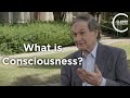 Roger penrose  what is consciousness
