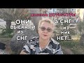 ВОТ ЭТО СЮРПРИЗИК !!/ЖЕНСКИЕ ШУРЫ-МУРЫ/ЖИЗНЬ в ИСПАНИИ