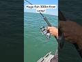 CRAZY fishing in the shallows!! #fishingaustralia #fishing #fish #gianttrevally