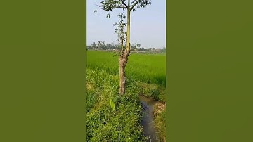 cipatat kab. bandung barat