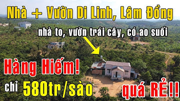 Bán đất vườn 2377.8m2 có nhà xây đẹp trồng đủ cây ăn trái, ao suối đầy đủ giá rẻ ở Lâm Đồng