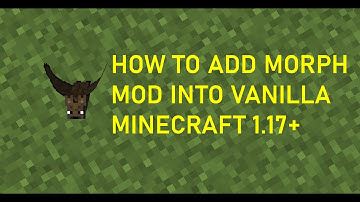 How to add Morph Mod into Vanilla Minecraft 1.17+