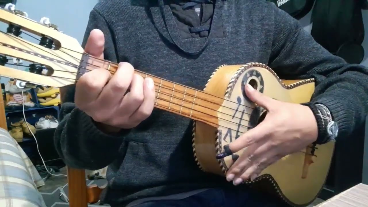 Paloma negra Vihuela