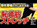 【腰痛改善に恥骨筋ストレッチ】腸腰筋ストレッチしても改善しない人必見‼︎股関節がみるみる動くようになる腰痛に効果的な「恥骨筋ストレッチ」とは？