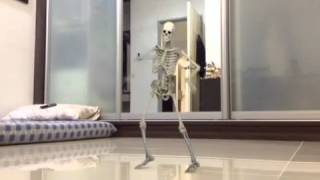 fx guru skeleton dance