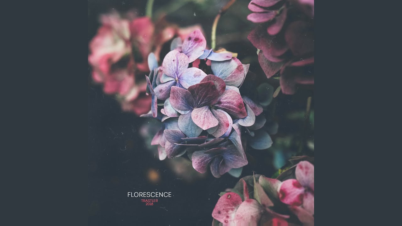 Watch Florescence on YouTube Watch Florescence on YouTube