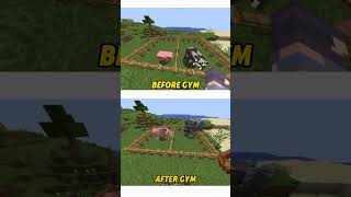 Gym in Minecraft be like