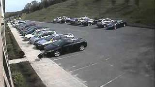 Turkeys Attack Car
