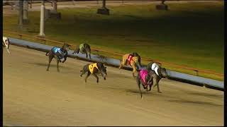 SLE SUN 21 JUL 19 R12