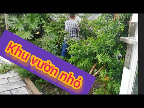 Video Mẫu nhà vườn đẹp ở nông thôn - youtube