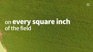Stand Count Analysis with Zone Management Tool | Agremo