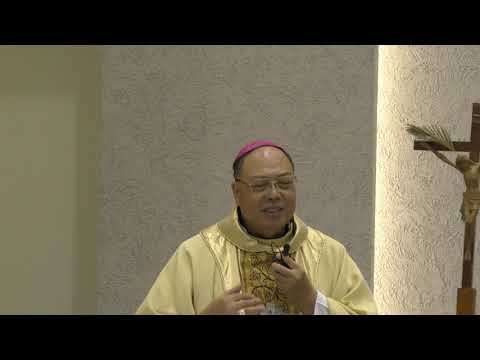 004八里安老院落實教會的安老信念 健康跟著走