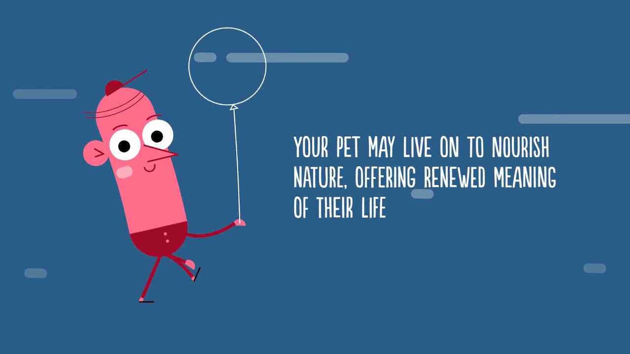 Green Pet Aquamation - alkaline hydrolysis  - alternative to cremation