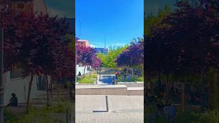 Spain🇪🇸 #spain #europe #travel #shortvideo #tiktok #shorts #switzerland #viral #viralshorts #video