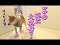 初めてママの裸を見た兄弟の反応が可愛すぎる♥