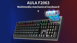 Keyboard Gaming Multimedia Mechanical AULA F2063 - RGB Macro Software