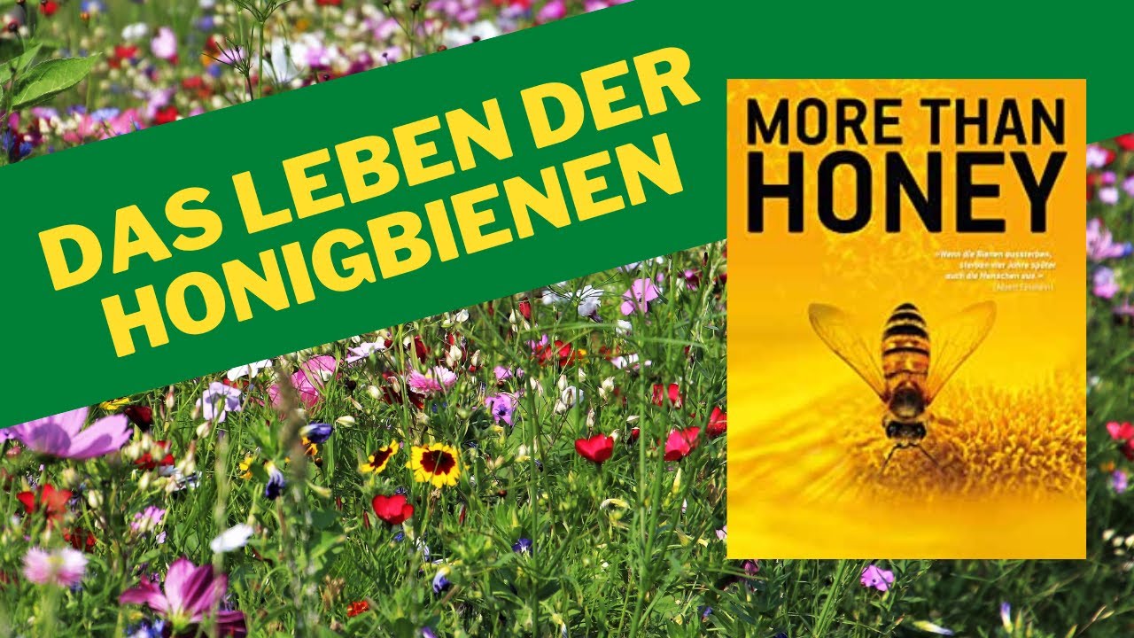 Mehr als Honig Eine Dokumentation über die Bedeutung der Bienen