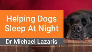 How To Help Your Dog Sleep At Night  Simple Vet Tips