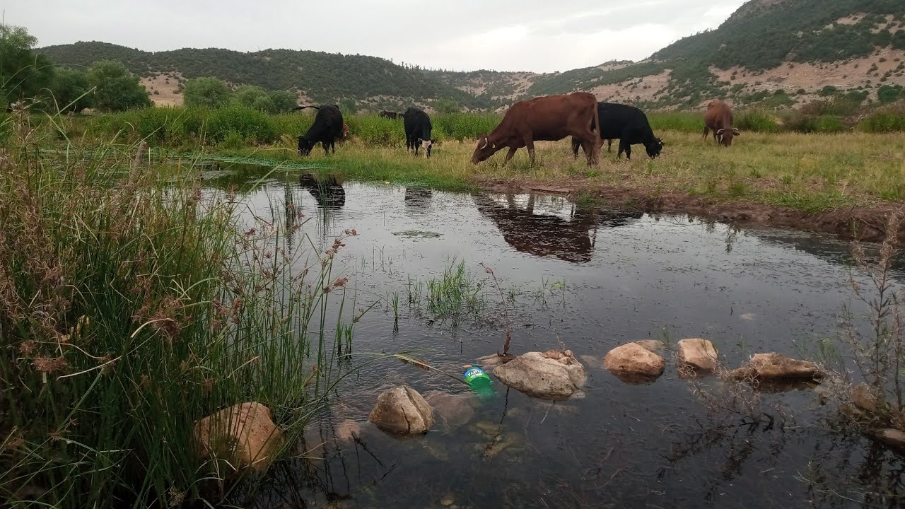 اراضي في منطقة ايت نوح خنيفرة واد اشبوكة #اراضي _أراضي الاطلس